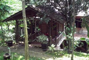 rumah kayu rumah kayu