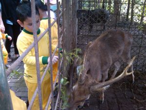 outbond, sekolah, kampung 99 pepohonan, gathering