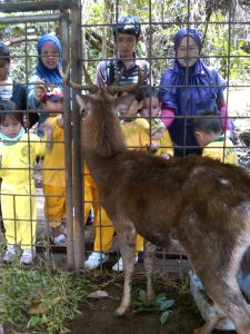 outbond, sekolah, gathering, kampung 99 pepohonan, rusa