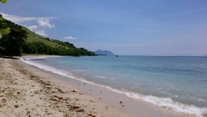 bupati, lembata, kampung 99 pepohonan