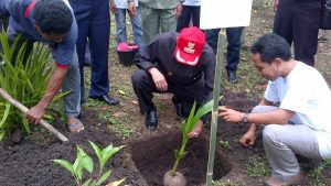 bupati, lembata, kampung 99 pepohonan