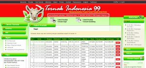 sapi, ternak, kampung 99 pepohonan